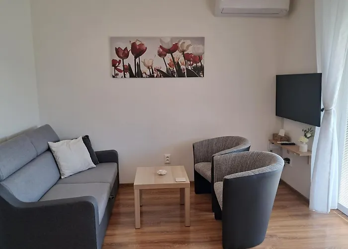 Apartmany Rubin Nesvady